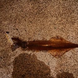 かなりのウネリの中で